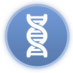 Autoimmune Diseases